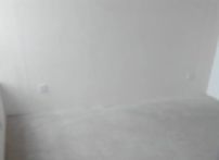 n_s12315472816785869065