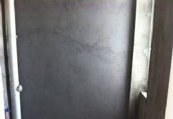 n_s12274119947833692163