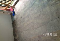 n_s12394347466428808165