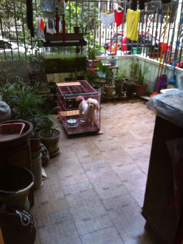 QQDƬ20140621155036