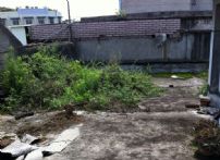 QQDƬ20140626143300