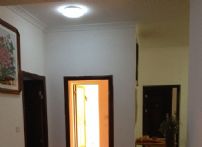 QQDƬ20141112184419