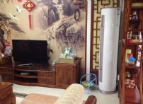 QQDƬ20140629103309