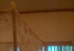 QQDƬ20141111142109