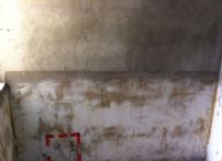 QQDƬ20140704182552