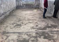 QQDƬ20141127164852