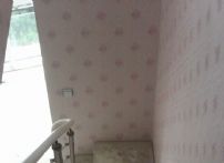QQDƬ20140826171542