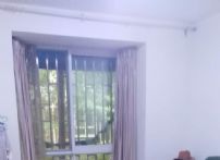 2017020618545737407