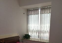 2016111910594081647