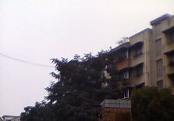 QQDƬ20140928144721