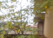 QQDƬ20141031092254