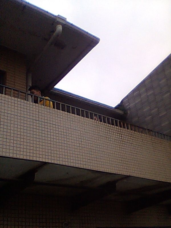 QQDƬ20141031092513