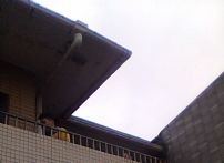 QQDƬ20141031092513