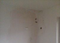 QQDƬ20141031092517