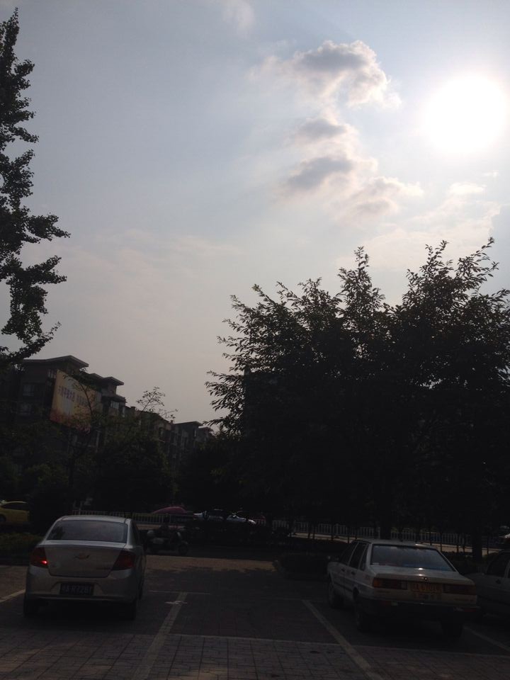 QQDƬ20140718194705