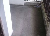 QQDƬ20140809195438