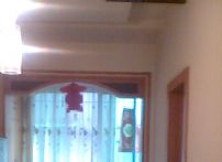 QQDƬ20141111142208
