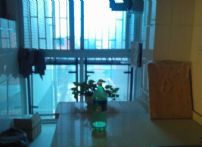 QQDƬ20150202182600