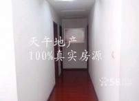 n_t04a7a8e38723e8009e736