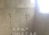 QQDƬ20150723181611