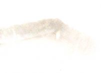 QQDƬ20150724141527
