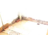 QQDƬ20150724141531