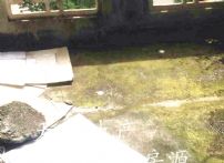 QQDƬ20150724141554