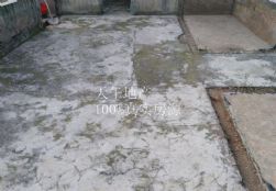 QQDƬ20150820192012