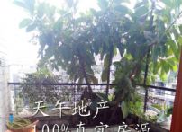 QQDƬ20150828111834