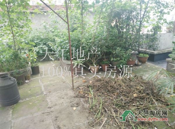 QQDƬ20150830173954