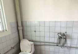 QQDƬ20151224161638