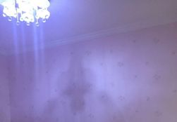QQDƬ20160525181440