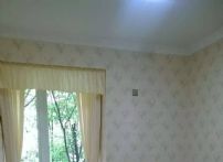 QQDƬ20160518090712