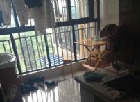 QQDƬ20150515164831