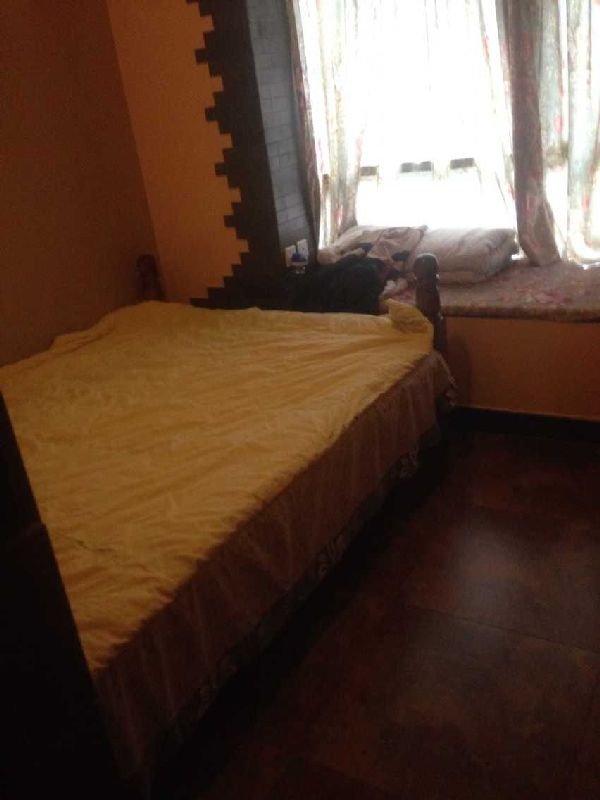 QQDƬ20150516151236