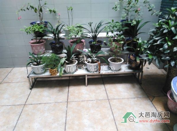 QQDƬ20150626171203