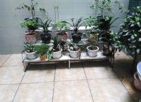 QQDƬ20150626171203