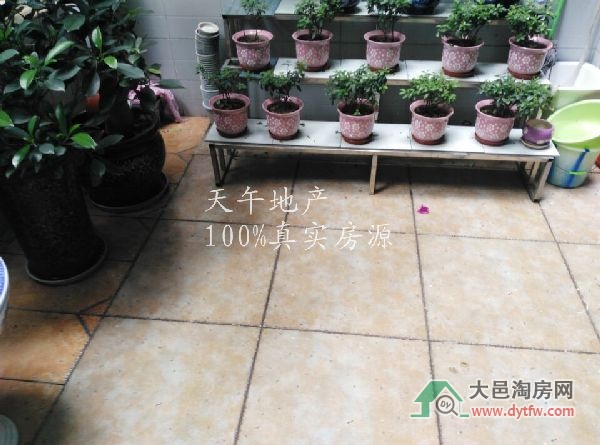 QQDƬ20150626171228