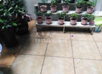 QQDƬ20150626171228