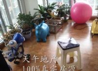 QQDƬ20150627165017