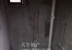 QQDƬ20150630182839