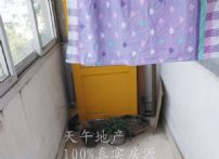QQDƬ20150713202550