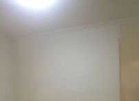 QQDƬ20160703165104