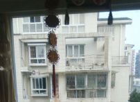 QQDƬ20151225105311
