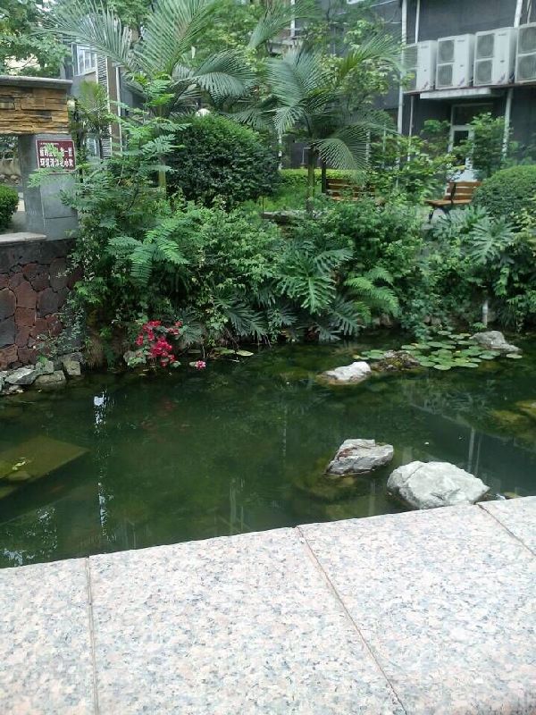 QQDƬ20150515185723