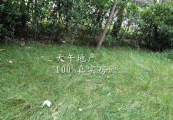 QQDƬ20150627164525