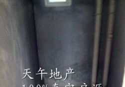 QQDƬ20150828112354