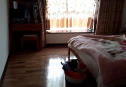 QQDƬ20151122152938