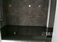 n_s12298149118494593046