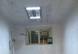 QQDƬ20160503093142